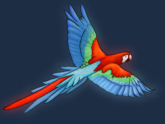 Parrot finished