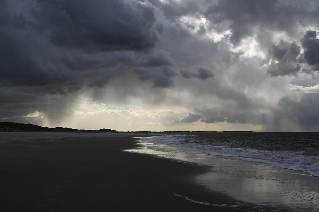 Dutch Coast