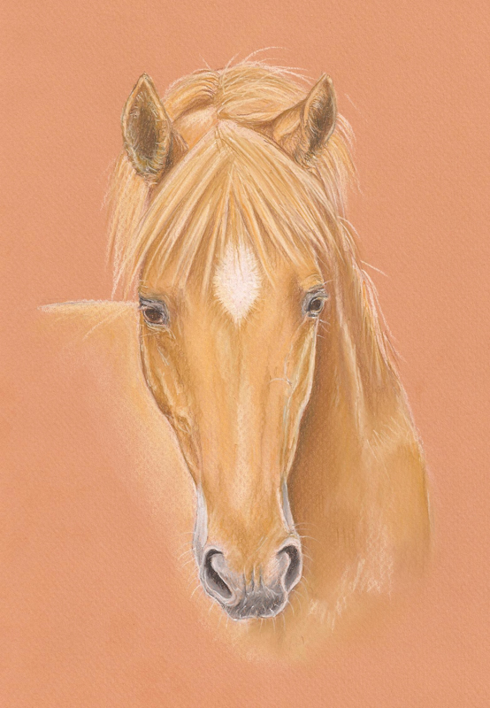 Pastel Pencil 7