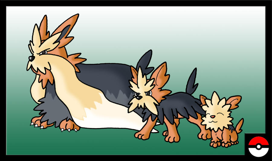 Lillipup Family