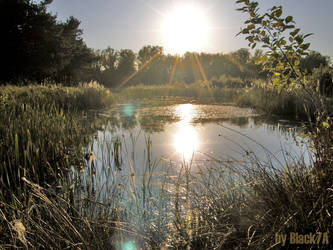 the haven under the ponds