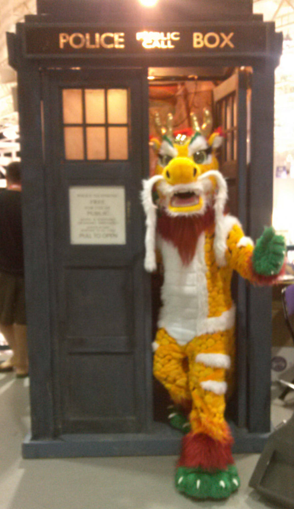 MC 2014: Dragon in Tardis!