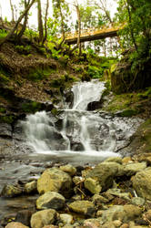 Little stream - Tercieira, Azores