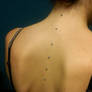 dermals back