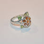 Cloudberry Ring