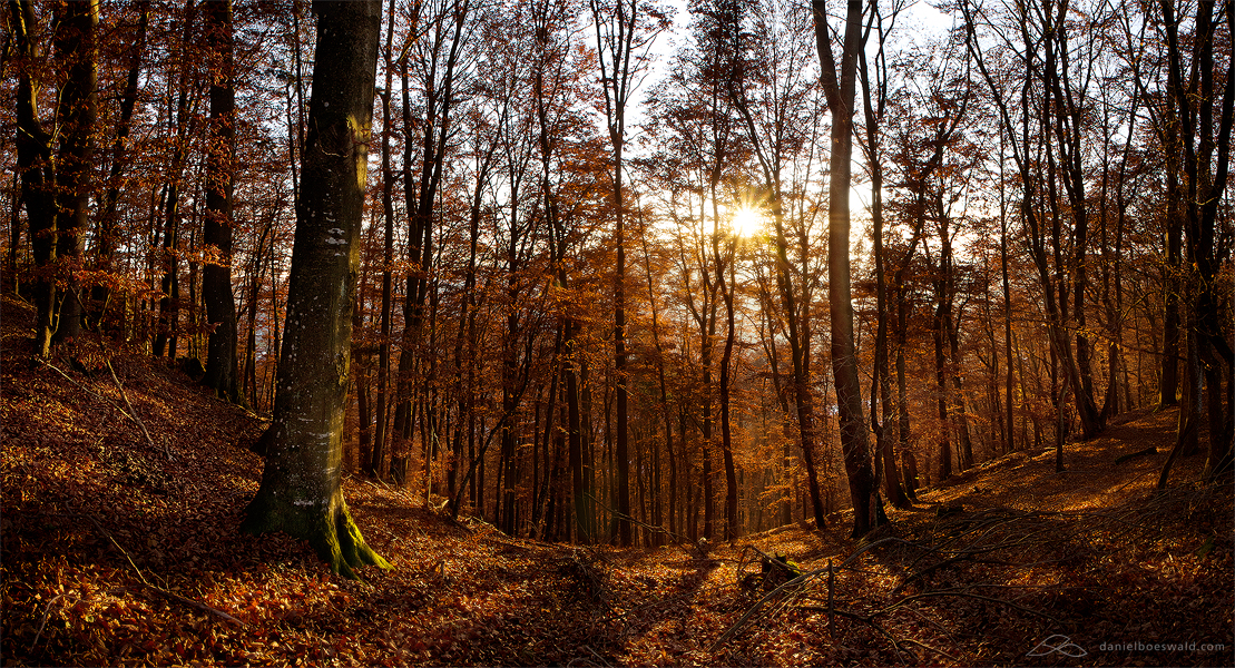 fall colors - 4 - panorama