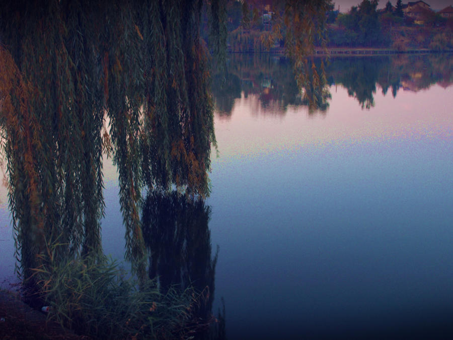 Processing by Steape1 on DeviantArt