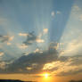golden skies stock