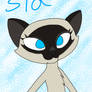 CE: Sia the Siamese cat