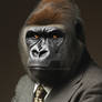 Business Gorilla