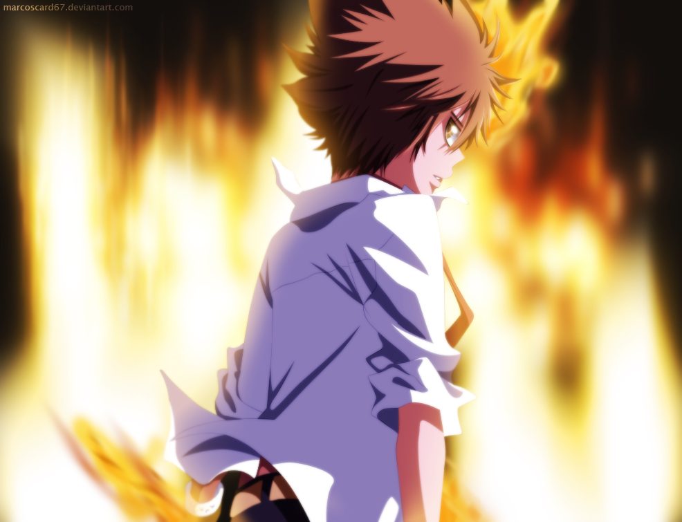 KHR - Sawada Tsunayoshi