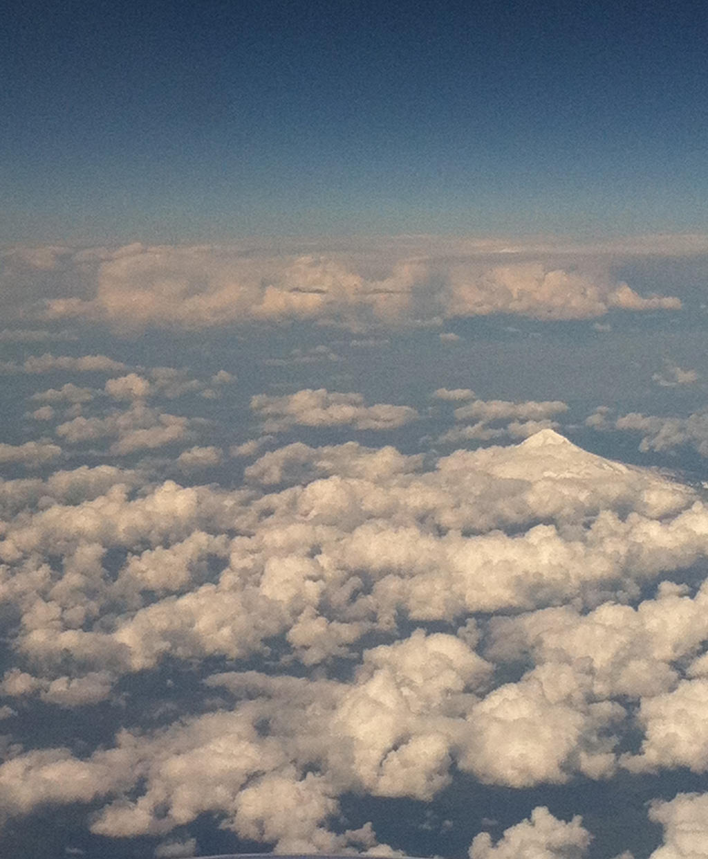 Mnt. Rainier