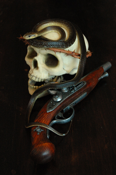 Snake,Skull and Pistol