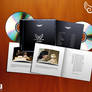 Distant Worlds - CD