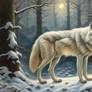 Oil Painting of White Eurasian Wolf