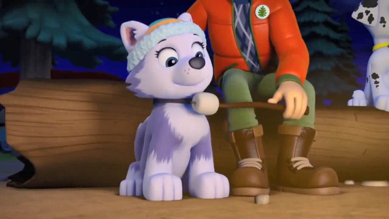 PAW Patrol S2 E6-Everest 7 by GeeDiRosso on DeviantArt