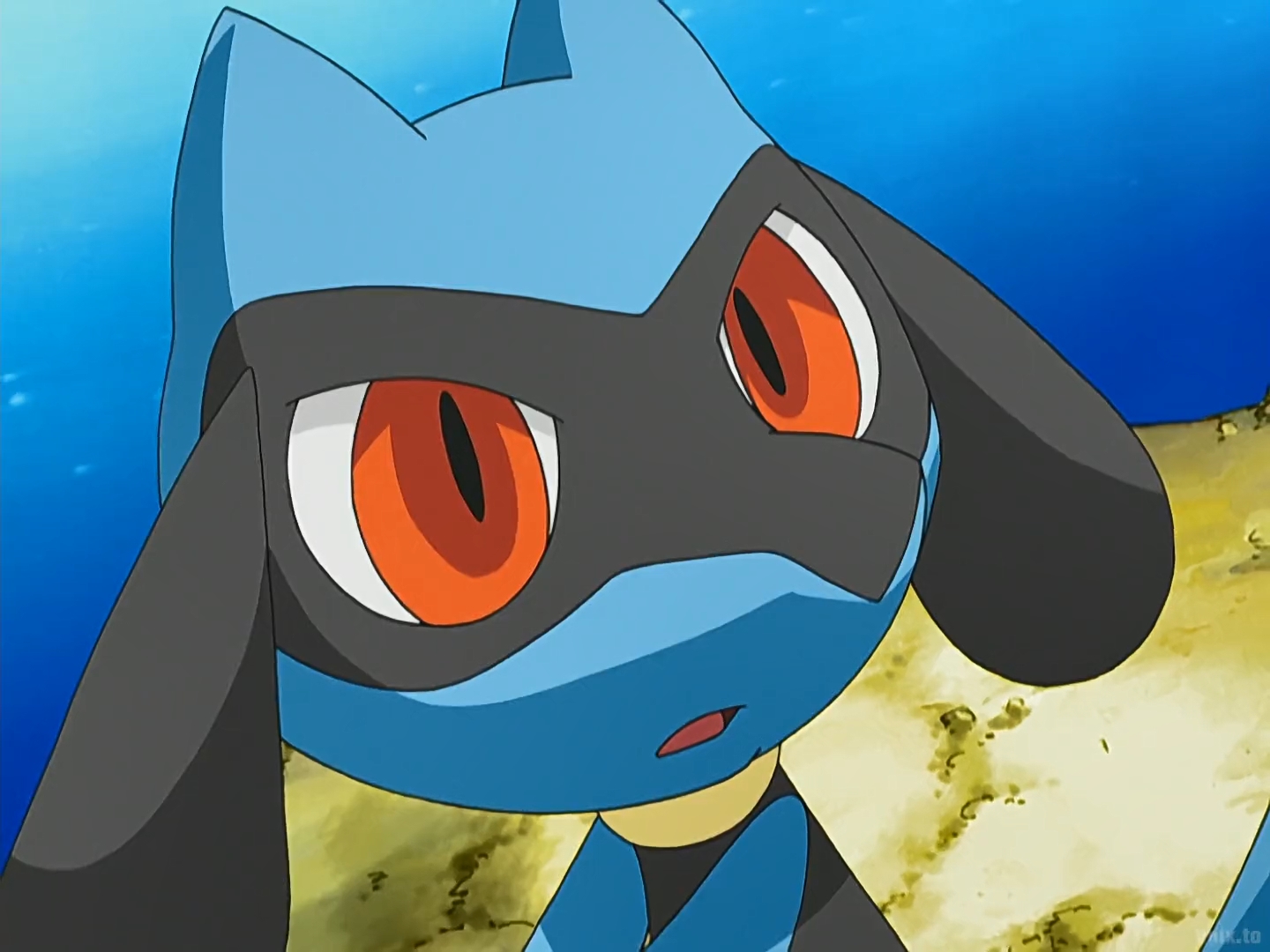 Pokemon DP E71-Riolu 12 by GeeDiRosso on DeviantArt