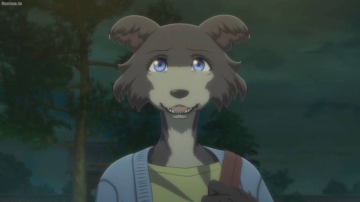 Beastars S2 E4-Juno 1 by GeeDiRosso on DeviantArt