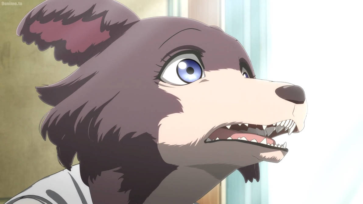 Beastars S2 E6-Juno 5 by GeeDiRosso on DeviantArt