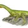 Protorosaurus BW