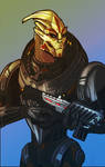 Turian Soldier with Tempest