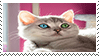 Stamp: Odd eyed grey kitten by Azrael-Legna