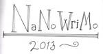 NaNoWriMo 2013 by Laroo1