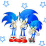 Sonic three styles