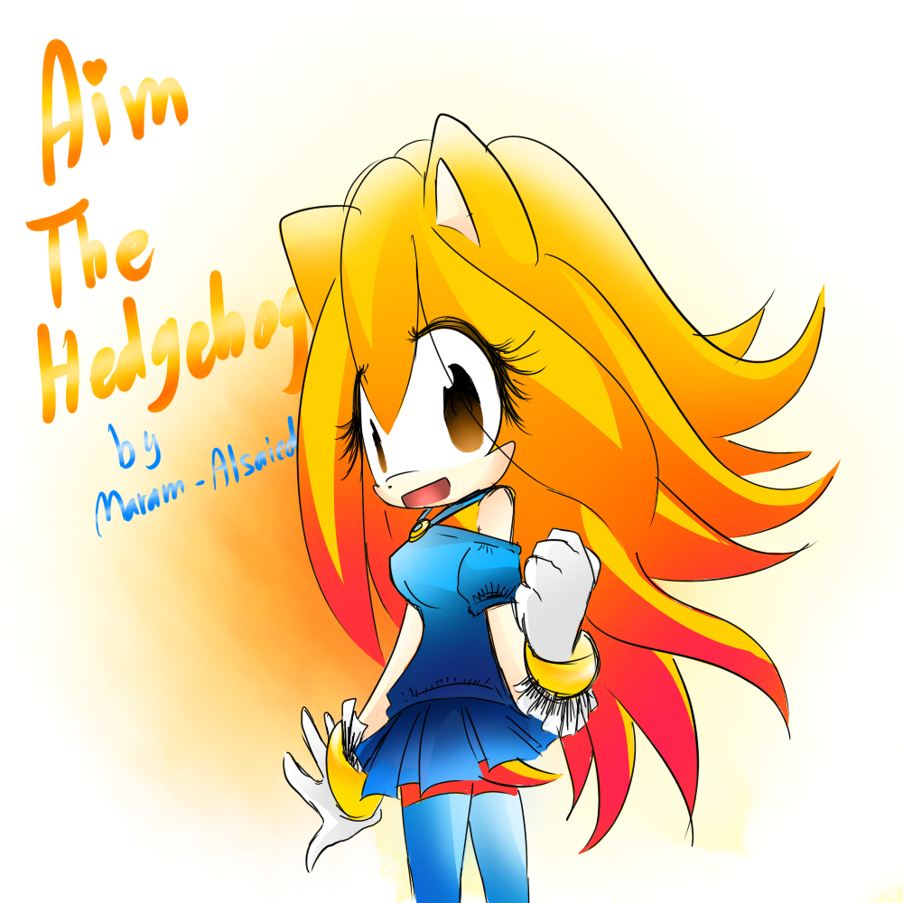 Aim The Hedgehog