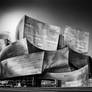 The Walt Disney Concert Hall, Downtown LA #2