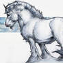 boreal unicorn