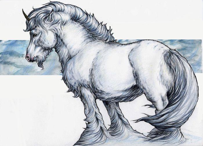 boreal unicorn