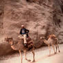 Camels in the canyon