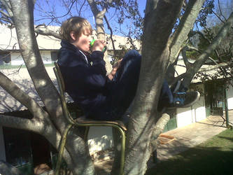 Stole my teachers chair and placed it in a treetop