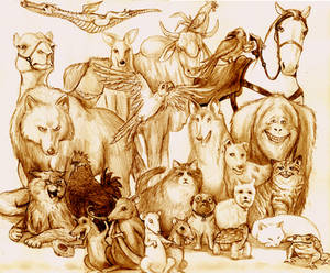 Discworld Animals