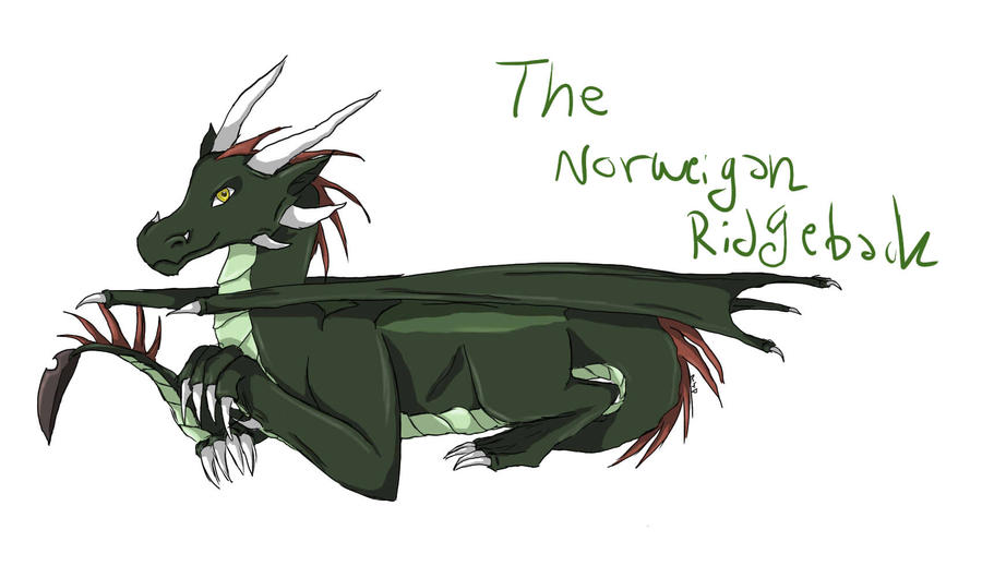 Norwegian Ridgeback In Flight The Norwegian Ridgeback by RoseFelicis on DeviantArt