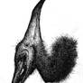 Pteranodon ingens