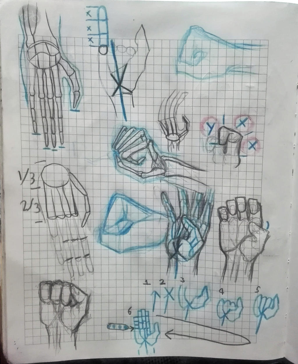 Hand Anatomy Sketch 11 by feraligatr9000 on DeviantArt