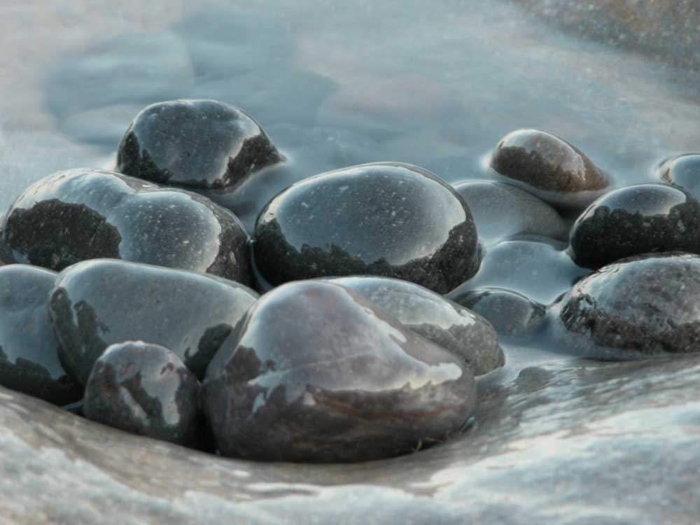 rox by bernard on DeviantArt