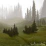 Background Practice: Foggy Meadow