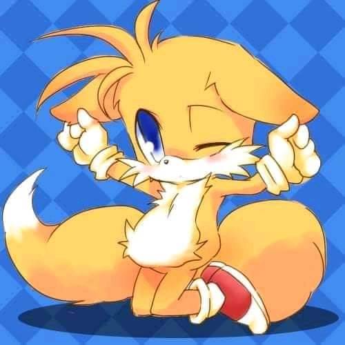 A risada do Tails é muito fofa 😊😊😊😊💙😊 #tails #fofo #cute #love #amor  #instagood #fotododia #mood #brasil #brazil #segue #instamood  #imagemquefala, By Coelho Pintor