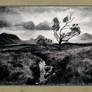 grassy landscape_charcoal