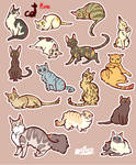 CATS sticker