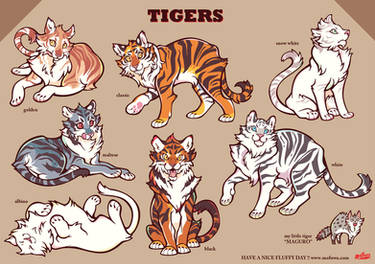 COLOR TIGERS