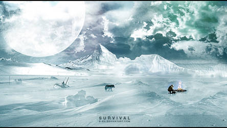 Survival by D-BH