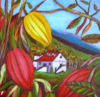 View of a cocoa estate