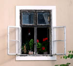 just a window... by burcyna