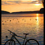 summer bike and the sunset.-