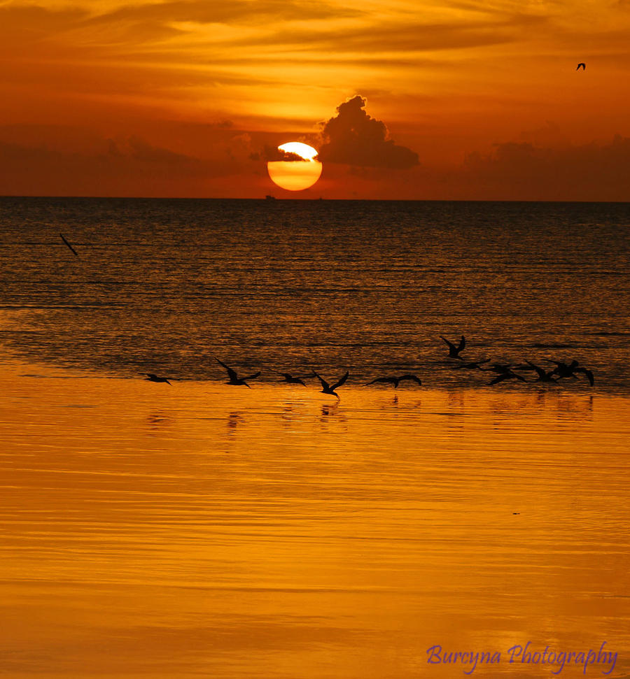 Different shades of orange