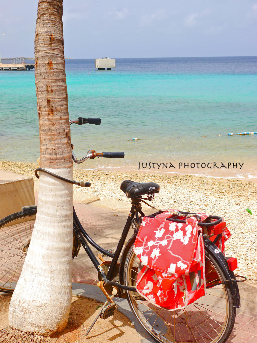 Bonaire bike